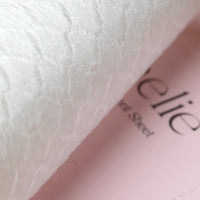Demelie Color&Dirt Absorbent Sheet 드멜리 프리미엄 그레이드 이염방지 시트
